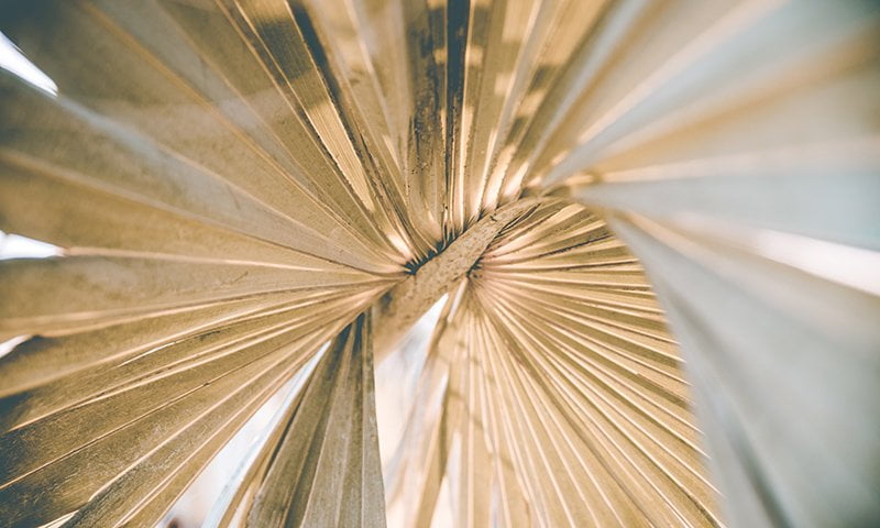 Turning The 5 Moments Inside Out with Autodesk